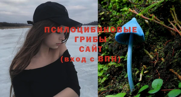 spice Баксан