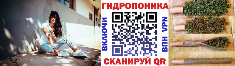где купить наркоту  Сольцы  Конопля сатива 